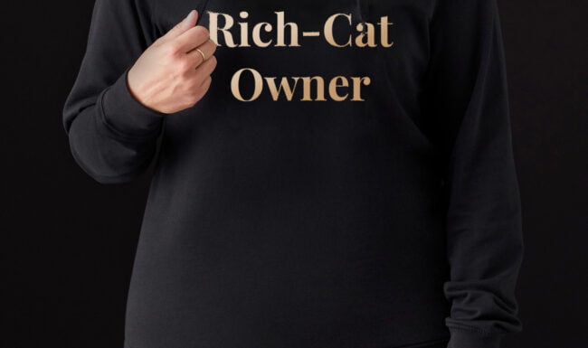CatOwnerHoodie Front