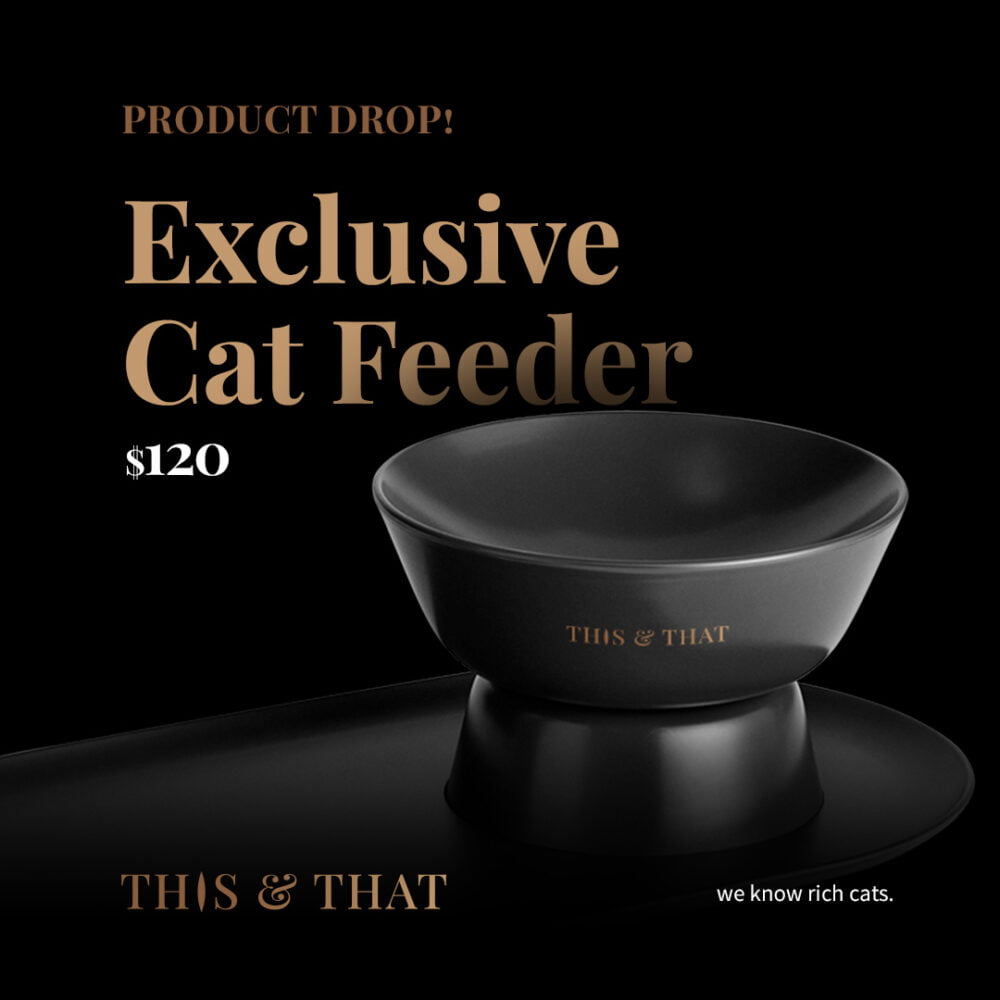 ThisThat Posts Flyer 1