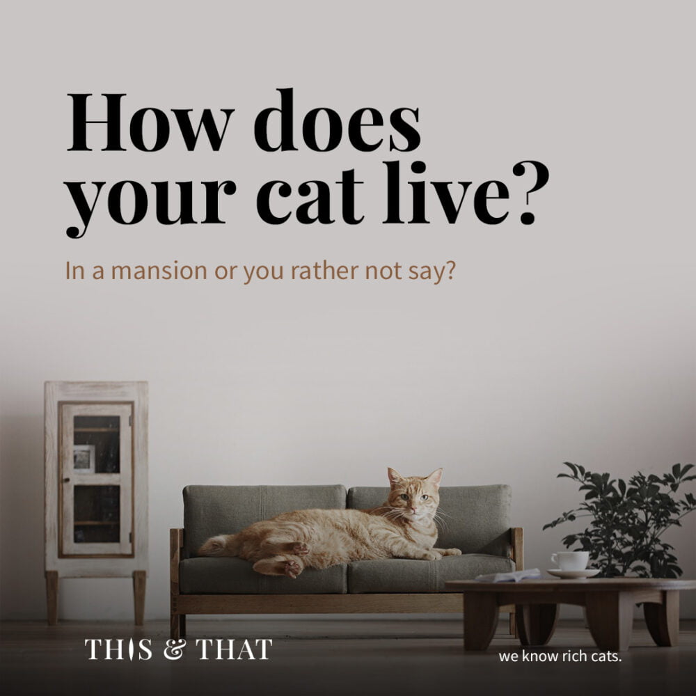 ThisThat Posts Flyer 3