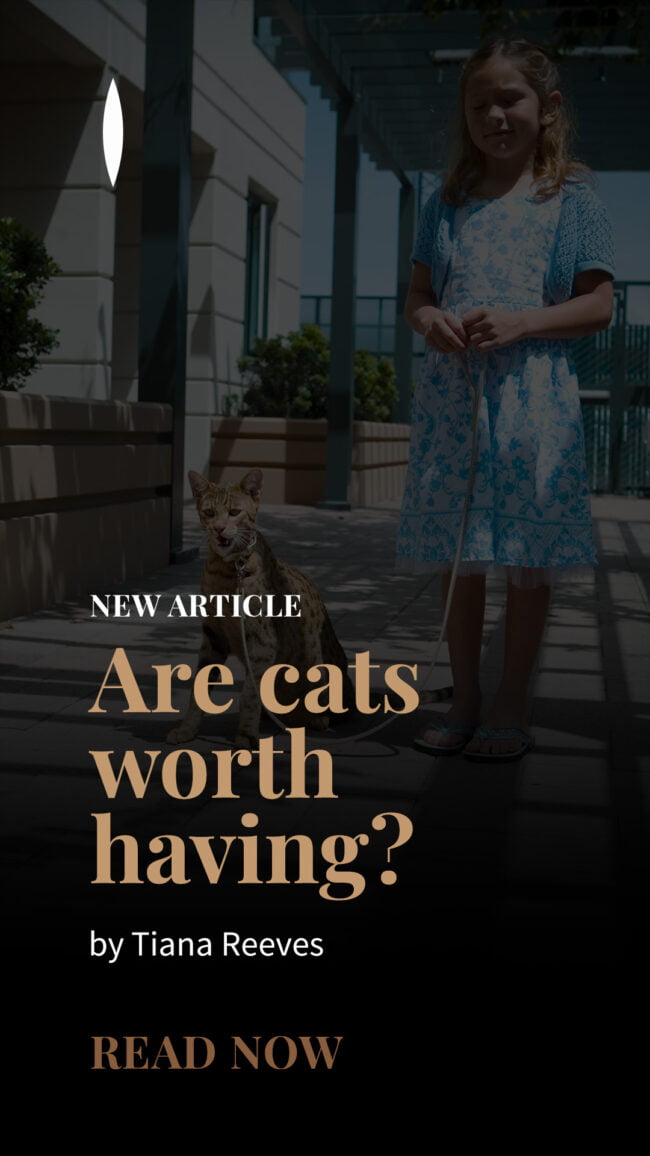 ThisThat Story Article