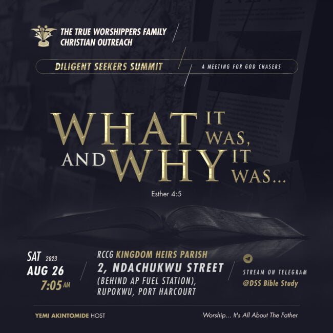 Yemi diligentSeekersSummit 202308